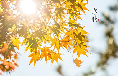 立秋養(yǎng)生：順應(yīng)時(shí)節(jié)，調(diào)養(yǎng)身心